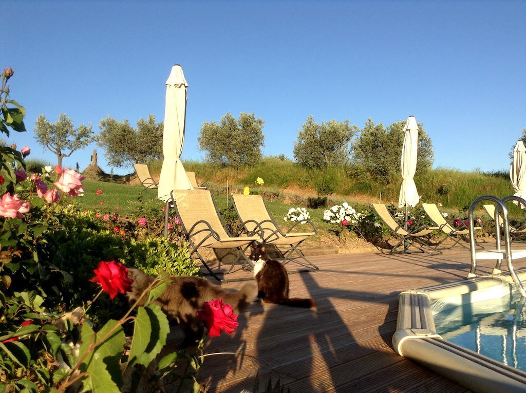 Agriturismo Podere La Marronaia Сан Джиминяно Екстериор снимка