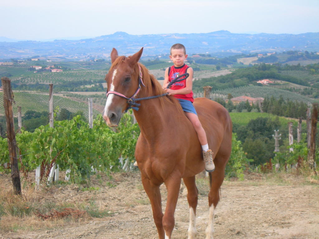Agriturismo Podere La Marronaia Сан Джиминяно Екстериор снимка